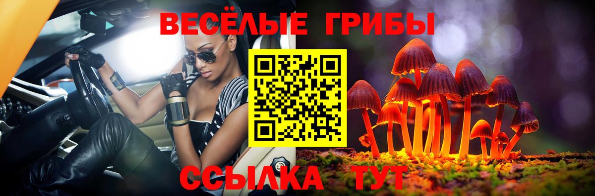 Новосибирск  Галлюциногенные грибы Psilocybine cubensis  Вход с VPN 