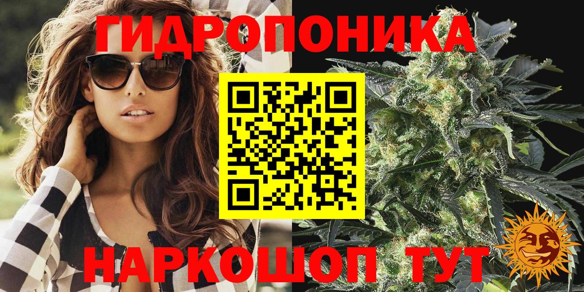 Каннабис SATIVA & INDICA  Канабис ГИДРОПОН  Вход с VPN  Новосибирск  Каннабис OG Kush  Марихуана марихуана 